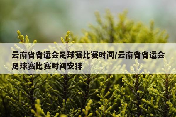 云南省省运会足球赛比赛时间/云南省省运会足球赛比赛时间安排