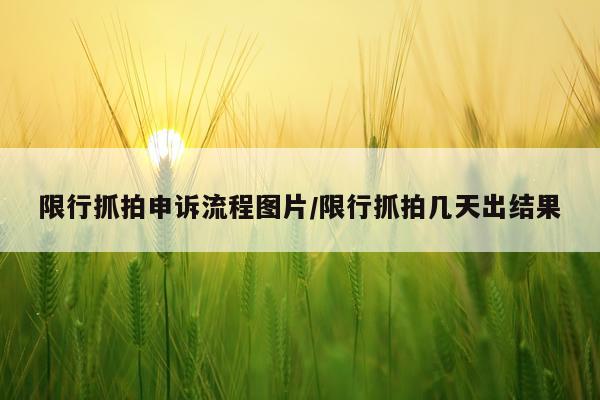 限行抓拍申诉流程图片/限行抓拍几天出结果