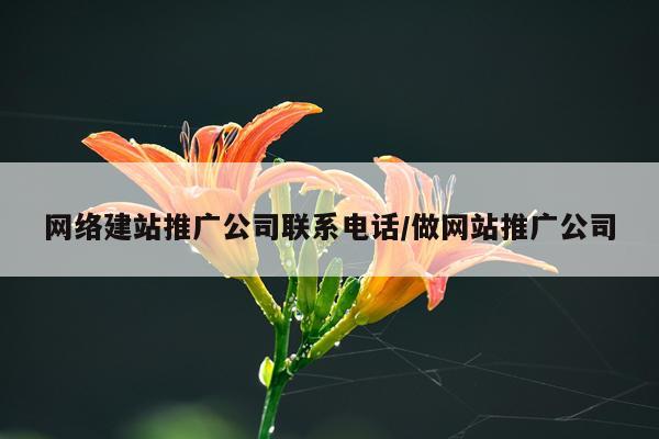 网络建站推广公司联系电话/做网站推广公司