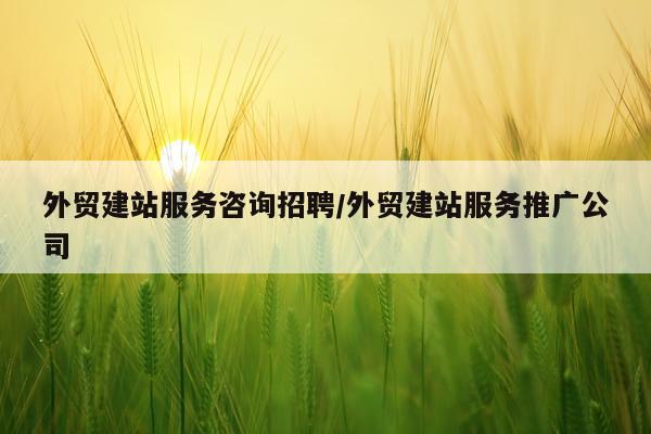 外贸建站服务咨询招聘/外贸建站服务推广公司
