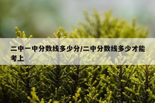 二中一中分数线多少分/二中分数线多少才能考上