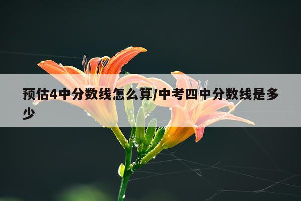 预估4中分数线怎么算/中考四中分数线是多少