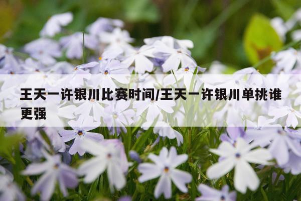 王天一许银川比赛时间/王天一许银川单挑谁更强