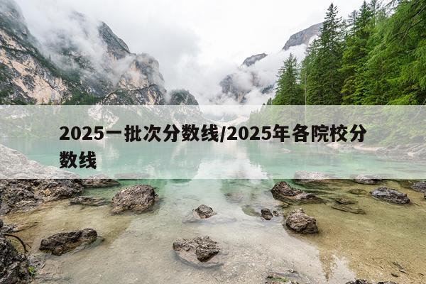 2025一批次分数线/2025年各院校分数线
