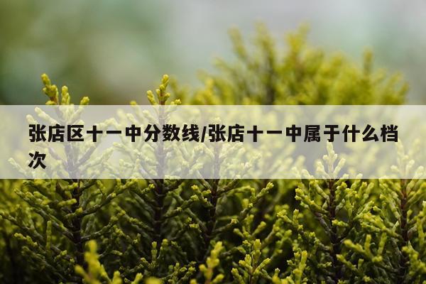 张店区十一中分数线/张店十一中属于什么档次