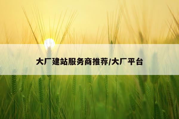 大厂建站服务商推荐/大厂平台