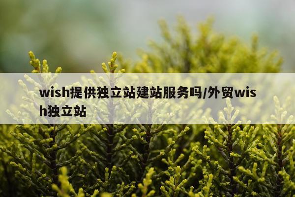 wish提供独立站建站服务吗/外贸wish独立站