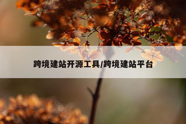 跨境建站开源工具/跨境建站平台