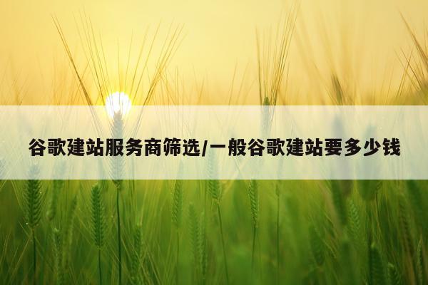 谷歌建站服务商筛选/一般谷歌建站要多少钱