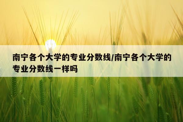 南宁各个大学的专业分数线/南宁各个大学的专业分数线一样吗