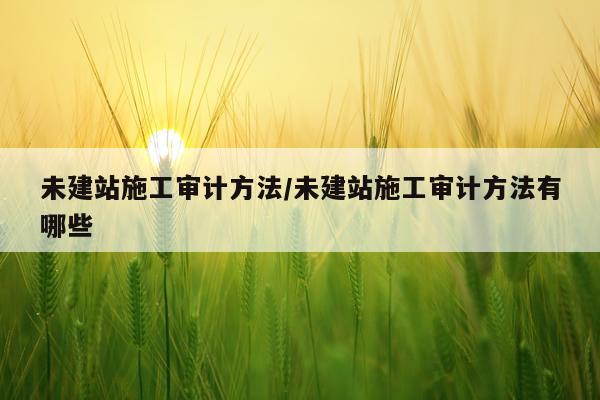 未建站施工审计方法/未建站施工审计方法有哪些