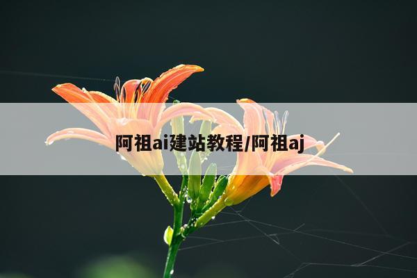 阿祖ai建站教程/阿祖aj