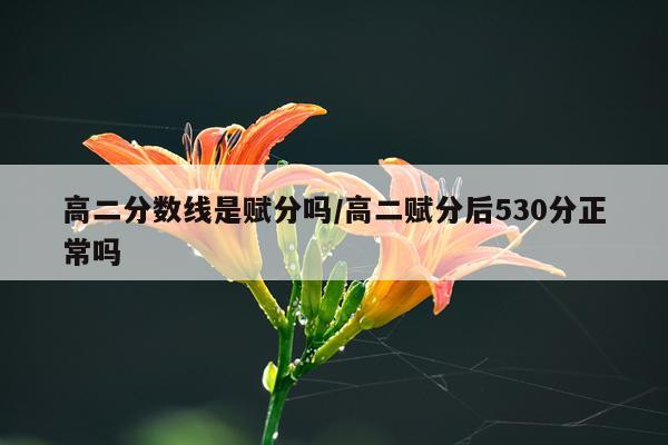 高二分数线是赋分吗/高二赋分后530分正常吗