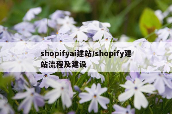 shopifyai建站/shopify建站流程及建设