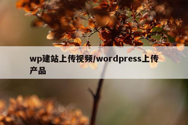 wp建站上传视频/wordpress上传产品