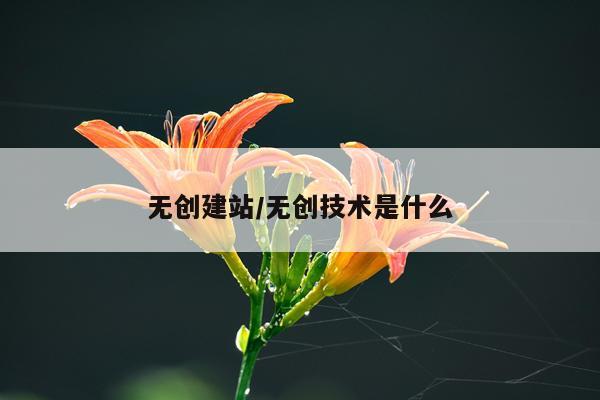 无创建站/无创技术是什么