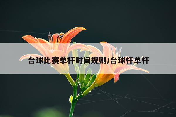 台球比赛单杆时间规则/台球杆单杆