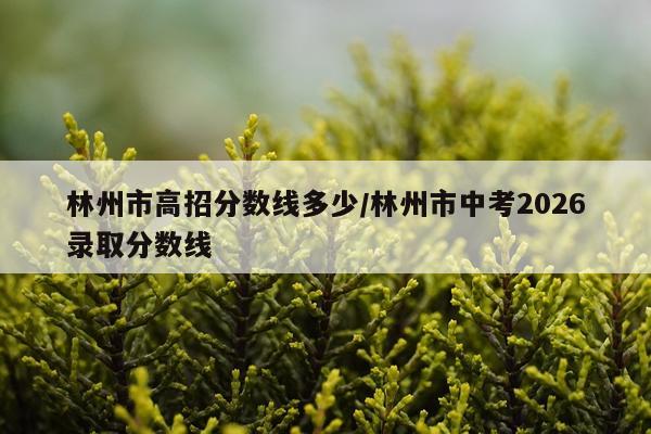 林州市高招分数线多少/林州市中考2026录取分数线