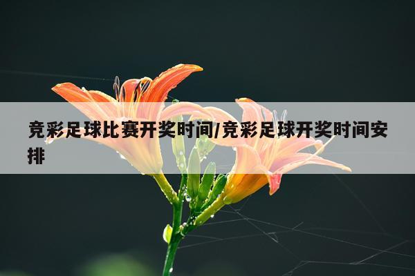 竞彩足球比赛开奖时间/竞彩足球开奖时间安排