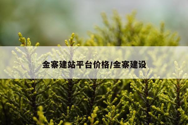 金寨建站平台价格/金寨建设