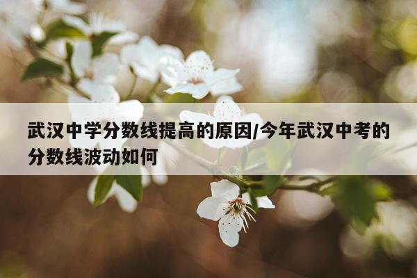 武汉中学分数线提高的原因/今年武汉中考的分数线波动如何