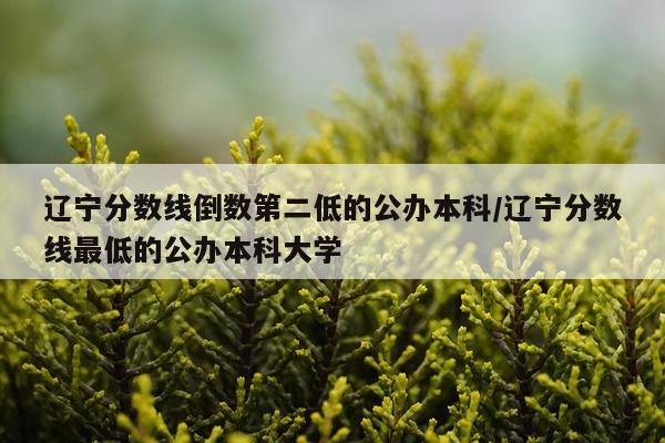 辽宁分数线倒数第二低的公办本科/辽宁分数线最低的公办本科大学