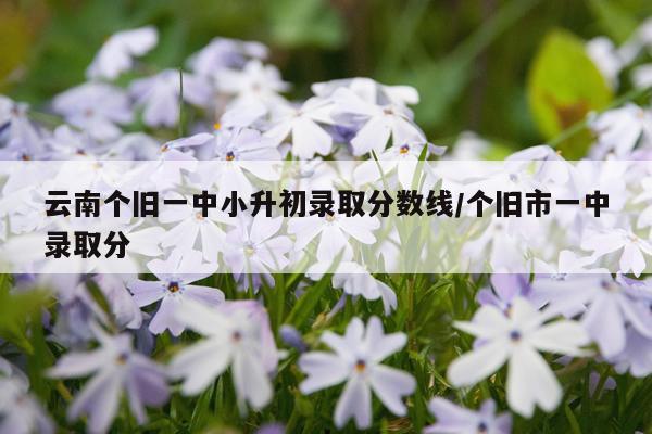 云南个旧一中小升初录取分数线/个旧市一中录取分