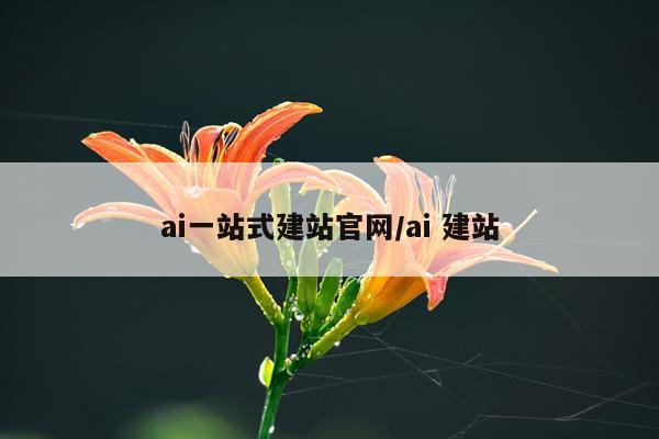 ai一站式建站官网/ai 建站