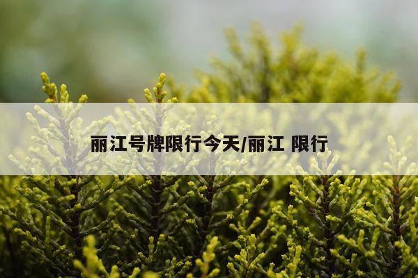 丽江号牌限行今天/丽江 限行
