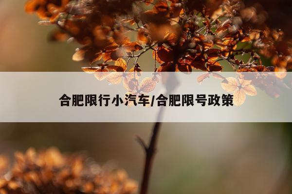 合肥限行小汽车/合肥限号政策