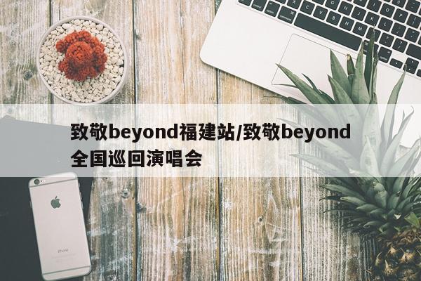 致敬beyond福建站/致敬beyond全国巡回演唱会