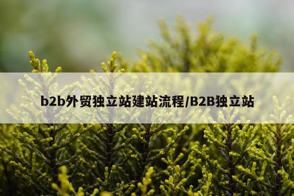 b2b外贸独立站建站流程/B2B独立站