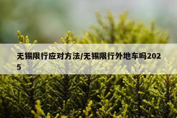 无锡限行应对方法/无锡限行外地车吗2025