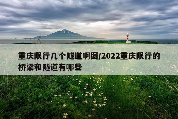 重庆限行几个隧道啊图/2022重庆限行的桥梁和隧道有哪些