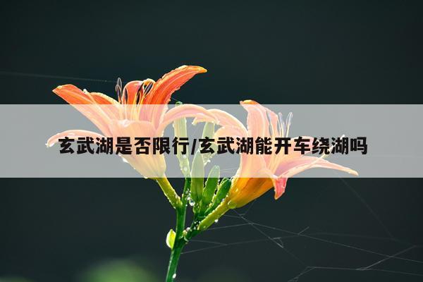 玄武湖是否限行/玄武湖能开车绕湖吗