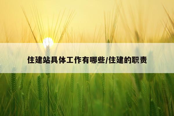 住建站具体工作有哪些/住建的职责