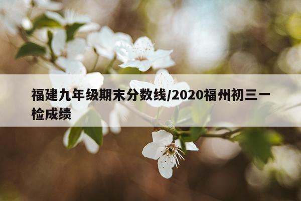 福建九年级期末分数线/2020福州初三一检成绩