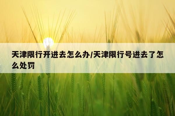 天津限行开进去怎么办/天津限行号进去了怎么处罚