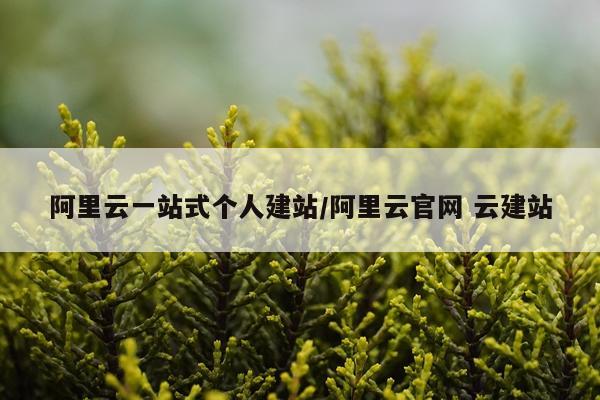 阿里云一站式个人建站/阿里云官网 云建站