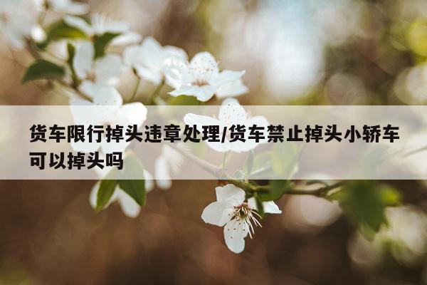 货车限行掉头违章处理/货车禁止掉头小轿车可以掉头吗