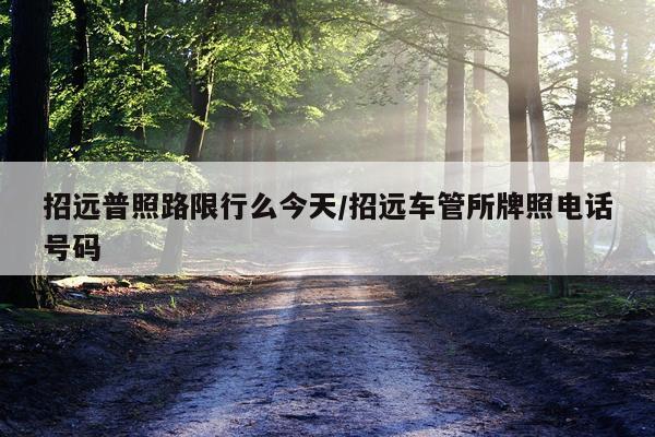 招远普照路限行么今天/招远车管所牌照电话号码