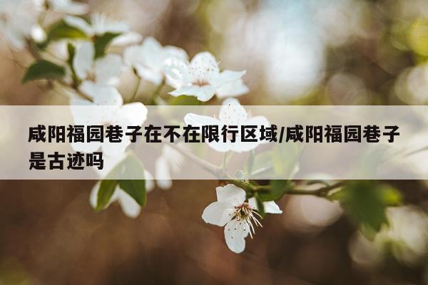 咸阳福园巷子在不在限行区域/咸阳福园巷子是古迹吗