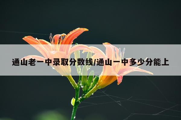 通山老一中录取分数线/通山一中多少分能上