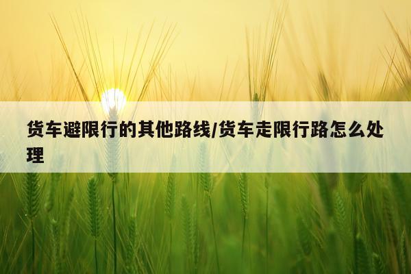 货车避限行的其他路线/货车走限行路怎么处理
