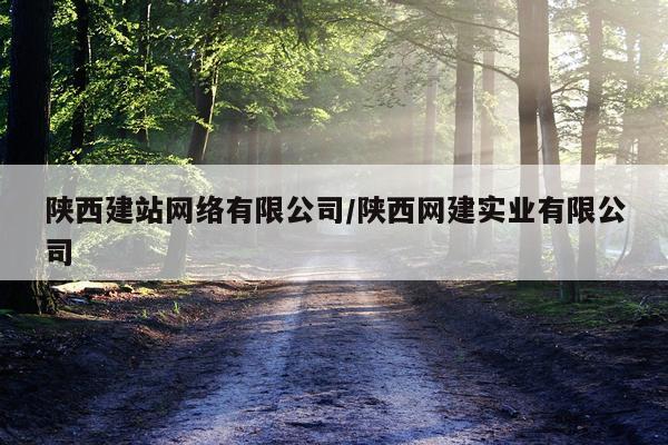 陕西建站网络有限公司/陕西网建实业有限公司