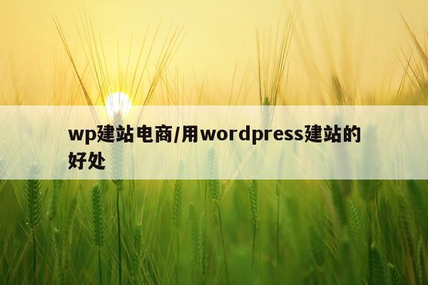 wp建站电商/用wordpress建站的好处