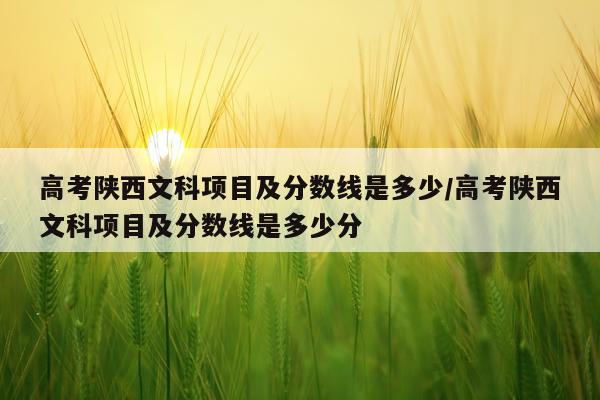 高考陕西文科项目及分数线是多少/高考陕西文科项目及分数线是多少分