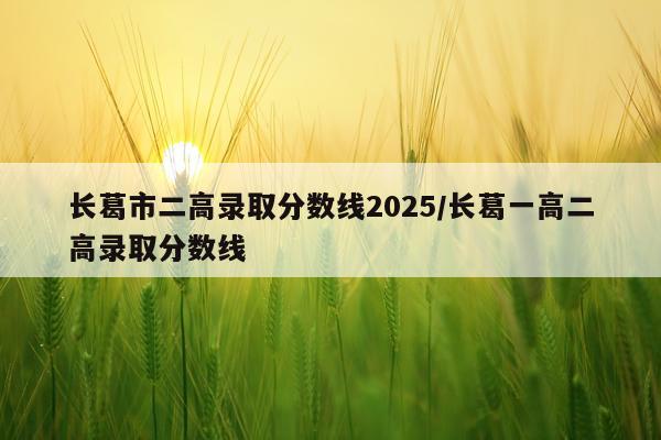 长葛市二高录取分数线2025/长葛一高二高录取分数线