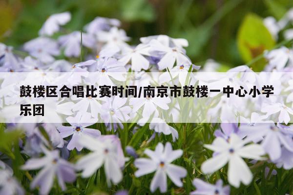 鼓楼区合唱比赛时间/南京市鼓楼一中心小学乐团