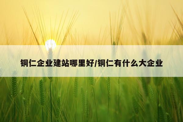 铜仁企业建站哪里好/铜仁有什么大企业